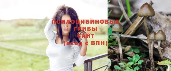 спайс Абаза