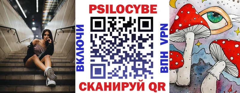 как найти   Красноперекопск  Псилоцибиновые грибы MAGIC MUSHROOMS 